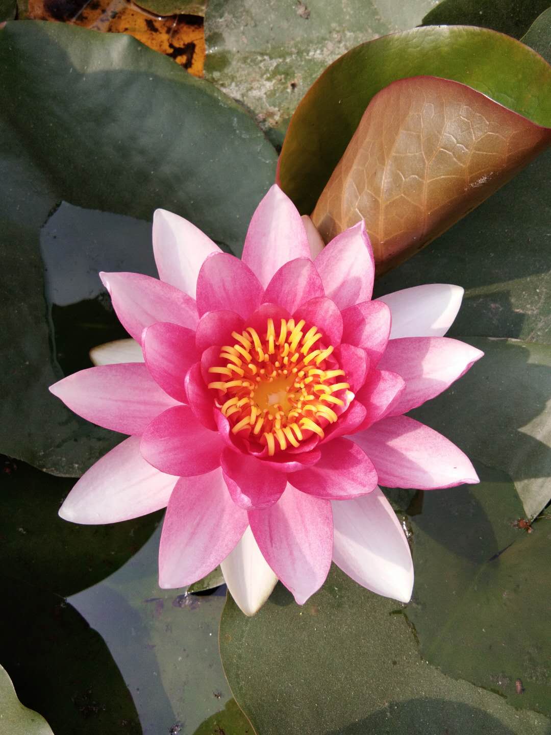 webwxgetmsgimg (1).jpg webwxgetmsgimg (1).jpg